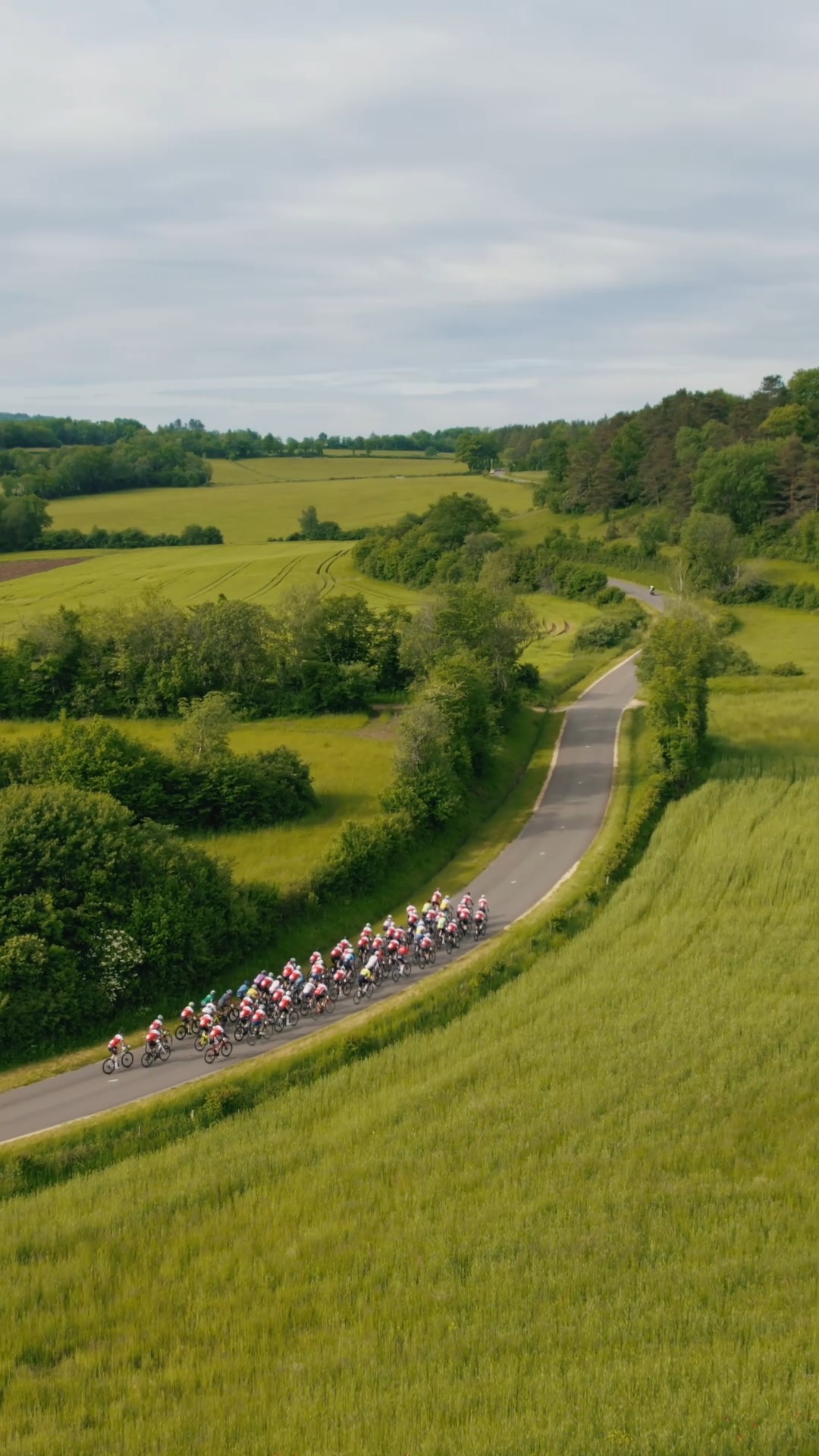 Choisissez votre légende 🤓👇

🌿 Jura, la nature à l’état pur
🌿 Jura, sauvage par nature
🧀 Entre vignes et montagnes, le Jura vous régale
🚴‍♂️ Jura, l’aventure commence ici
💛 Made in Jura

𝐈𝐧𝐟𝐨𝐫𝐦𝐚𝐭𝐢𝐨𝐧𝐬 & 𝐢𝐧𝐬𝐜𝐫𝐢𝐩𝐭𝐢𝐨𝐧𝐬 ⤵️
✍️ https://cyclosportive-lavachequirit.fr

#CyclosportiveLaVachequiRit #VachequiRit #Jura #LonsLeSaunier #Gravel #Cyclosport #LaurentJalabert #Cycling #Jaja